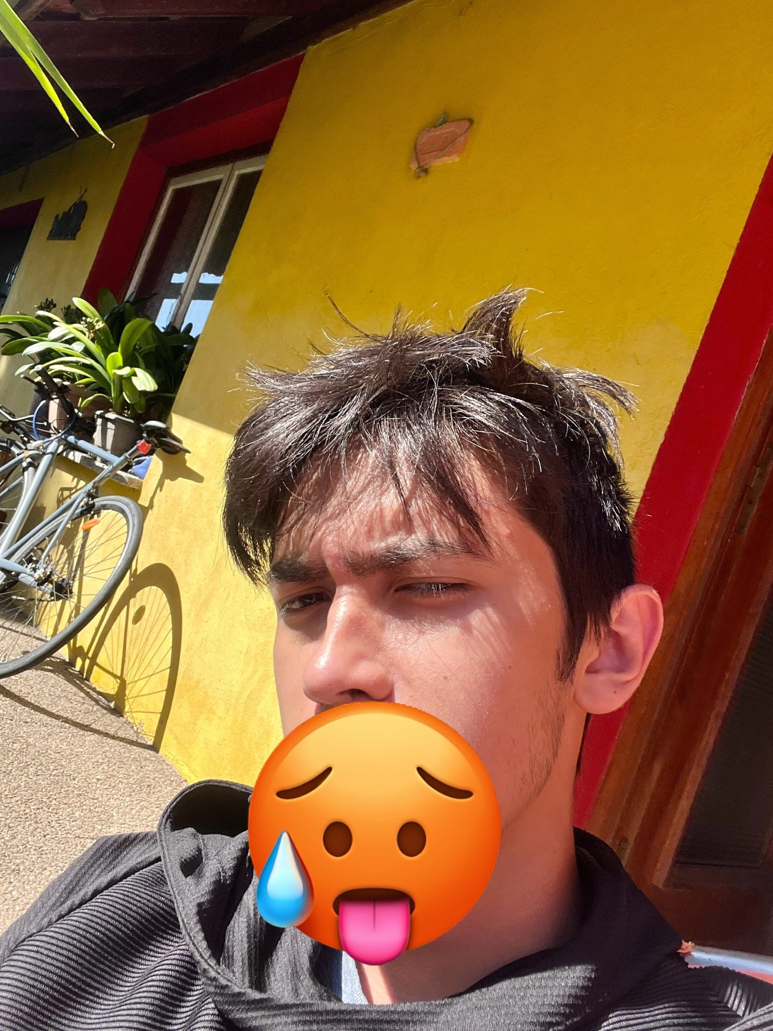 Profil de Joby, 24 ans, Escort Trans Suisse à Adlikon b. Andelfingen