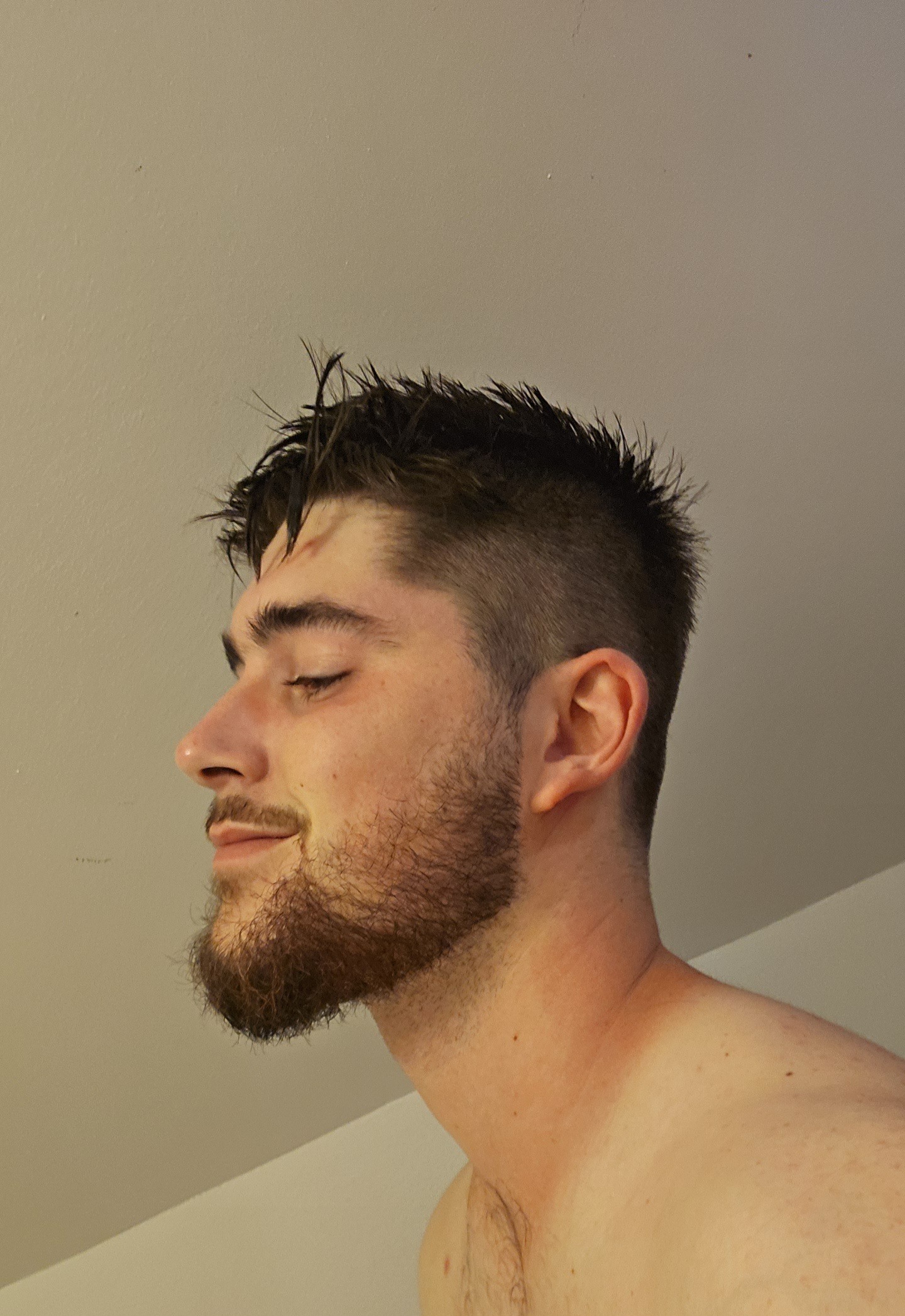 Profil de Seifeddine, 25 ans, Escort Trans Suisse à Veltheim AG