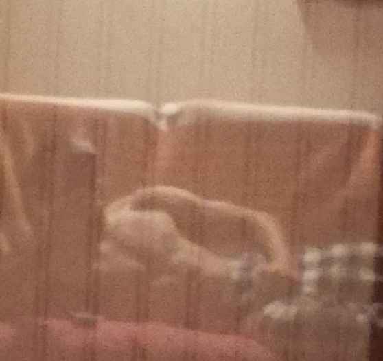 Profil de Jean-lucien, 23 ans, Escort Trans Suisse à Collex